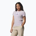 Moteriški marškinėliai Columbia Ruby Springs Graphic Fitted lavender pearl/brandrise