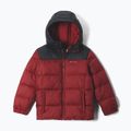 Šilta striukė vaikams Columbia Puffect Hooded Red Oxide/Black