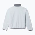 Vaikiškas flisinis džemperis Columbia Sequoia Grove Full Zip Fleece tea light/sedona sage 2