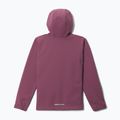 Vaikiška softshell striukė Columbia Ascender Hooded Softshell antique mauve 2