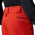Vyriškos slidinėjimo kelnės Columbia Platinum Peak Insulated super sonic 7
