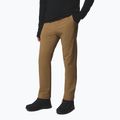 Vyriškos laipiojimo kelnės Columbia ROC Tech Warm Chino delta 4