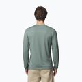 Vyriški ilgomis rankovėmis marškinėliai Columbia Parsons Point LS Graphic Tee sedona sage heather framed peakscape 3