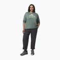 Moteriški marškinėliai ilgomis rankovėmis  Columbia Parsons Point LS Graphic Tee sedona sage heather/all terrain 2