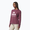 Moteriški marškinėliai ilgomis rankovėmis  Columbia Parsons Point LS Graphic Tee antique mauve heather/all terrain 4