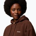 Moteriškas flisinis džemperis Columbia Timber Meadow MTR Fleece Hoodie tobacco 6