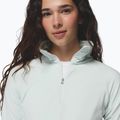 Moteriškas flisinis džemperis Columbia Glacial IV 1/2 Zip Tea Light 5