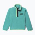 Vaikiškas flisinis džemperis Columbia Halvetia II Half Snap Fleece teal/black