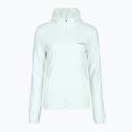 Moteriška striukė Columbia Star Valley Hooded Full Zip tea light 9