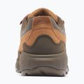 Vyriški žygio batai Columbia Newton Alpine Low grizzly bear/red oxide 2