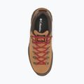 Vyriški žygio batai Columbia Newton Alpine Low grizzly bear/red oxide 4