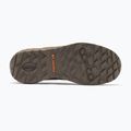 Vyriški žygio batai Columbia Newton Alpine Low grizzly bear/red oxide 5