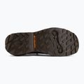 Vyriški žygio batai Columbia Newton Alpine Low grizzly bear/red oxide 4