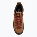 Vyriški žygio batai Columbia Newton Alpine Low grizzly bear/red oxide 5