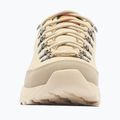 Vyriški žygio batai Columbia Newton Alpine Low fossil/sedona sage 3
