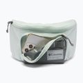 Juosmes krepšys Columbia Zigzag II Hip Pack 1 l sedona sage/tea light 4