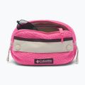 Juosmes krepšys Columbia Helvetia II Hip Pack 1 l nico/dark stone 3