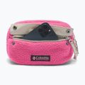 Juosmes krepšys Columbia Helvetia II Hip Pack 1 l nico/dark stone 4