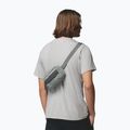 Juosmes krepšys Columbia Helvetia II Hip Pack 1 l sedona sage/shark 6