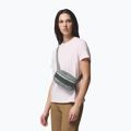 Juosmes krepšys Columbia Helvetia II Hip Pack 1 l sedona sage/shark 7