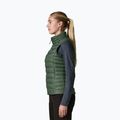 Moteriška liemenė Patagonia Down Sweater canopy green 3