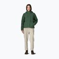 Moteriška pūsta striukė Patagonia Sisar Down Hoody canopy green 2