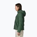 Moteriška pūsta striukė Patagonia Sisar Down Hoody canopy green 4