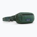 Juosmes krepšys Patagonia Terravia Mini Hip canopy green