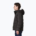 Vyriška pūsta striukė Patagonia Sisar Down Hoody black 4