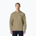 Vyriškas džemperis Patagonia Daily Hoody weathered stone