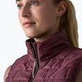 Moteriška liemenė Patagonia Nano Puff berry fig 6