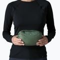 Moteriška pūsta striukė Patagonia Down Sweater Hoody canopy green 10