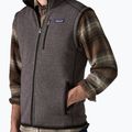 Vyriška liemenė Patagonia Better Sweater may grey 4