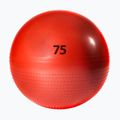 Gimnastikos kamuolys adidas ADBL-13247OR oranžinis 75 cm 2