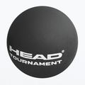 Squasho kamuolys HEAD Tournament Squash Ball juodas 2