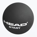 Squasho kamuolys HEAD Start Squash Ball juodas 2