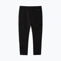 Moteriškos trekingo kelnės The North Face Never Stop Wearing Cargo black NF0A535DJK31 2