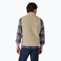 Vyriška liemenė Patagonia Retro Pile Fleece el cap khaki 2