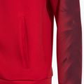 Vyriškas bėgimo džemperis Joma Elite XI Full Zip red 5