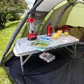 Coleman Darwin 2+ 2 asmenų kempingo palapinė žalia 2000038488 6