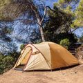 4 vietų stovyklavimo palapinė Coleman Darwin Summer 4 + beige 9