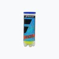 Padelio kamuoliukai Babolat 122370 3 vnt. 2