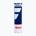 Teniso kamuoliukai Babolat Team 4 vnt. yellow 2