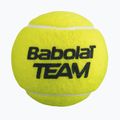 Teniso kamuoliukai Babolat Team 4 vnt. yellow 3