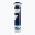 Babolat Team All Court teniso kamuoliukai 4 vnt. geltoni 502081 2