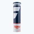 Babolat Team Clay teniso kamuoliukai 4 vnt. geltoni 502080 2