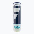 Babolat Gold All Court teniso kamuoliukai 4 vnt. geltoni 502085 2