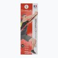 Plakatas Sveltus Elastiband 3 Strengths colorfull