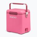 Nešiojamas šaldytuvas Igloo Tag Along Too Highrise 18 l pink 2
