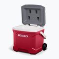 Turistinis šaldytuvas Igloo Latitude 16 Qt Roller 15 l industrial red/ meteorite 12